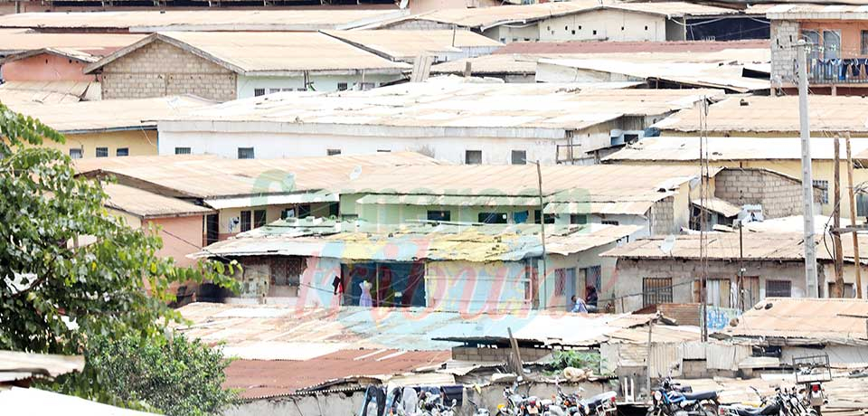 logements estudiantins : les loyers divisent logements estudiantins : les loyers divisent