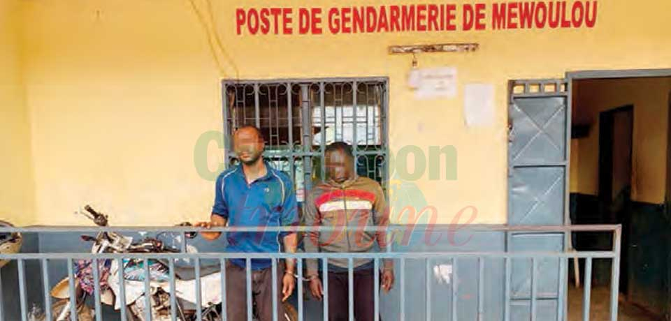 Fake Money Trafficking: Two Suspects Arrested Fake Money Trafficking: Two Suspects Arrested