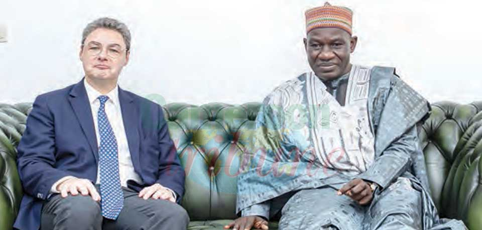 Cameroun-Autriche : une coopération à renforcer