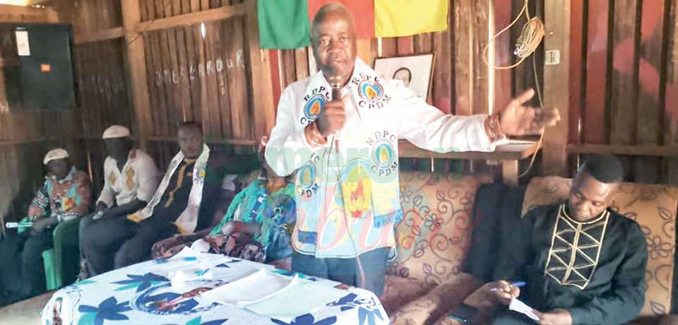 RDPC Haut-Nyong : Doumaintang aura sa permanence du parti