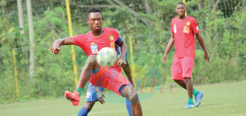 Tournoi U20 de l’Uniffac : les Lionceaux en stage