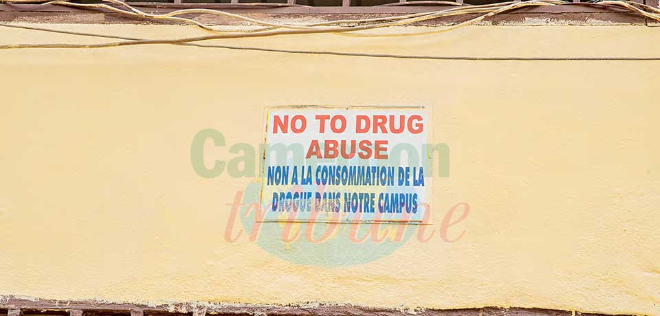 Fight Against Drugs : Sensitisation Strategies To Tame Growing Danger