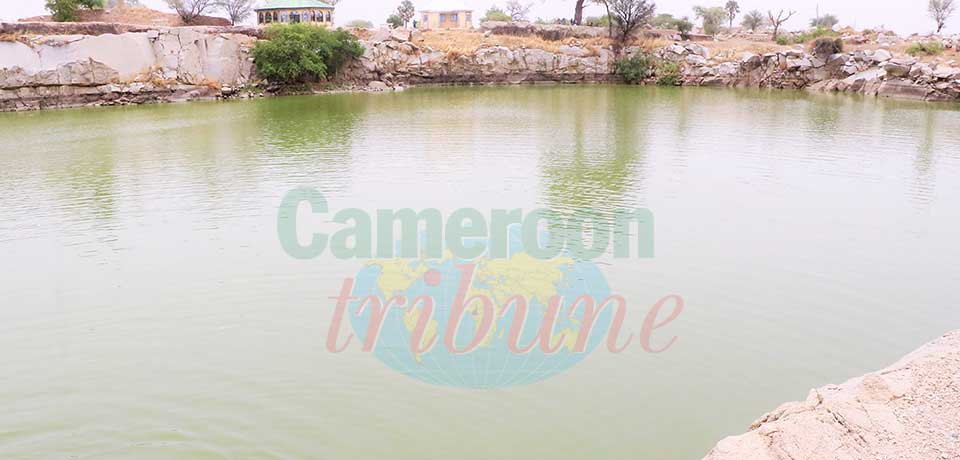 Boboyo : le lac aux crocos !