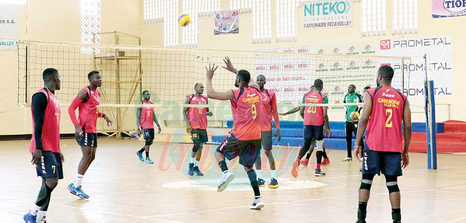 CAN Volley-ball messieurs : les Lions poursuivent leur stage