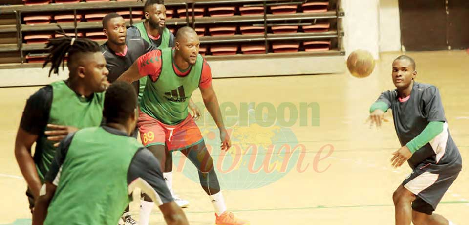 Men’s Senior Handball African Nations Cup : Cameroon Heightens Preparations