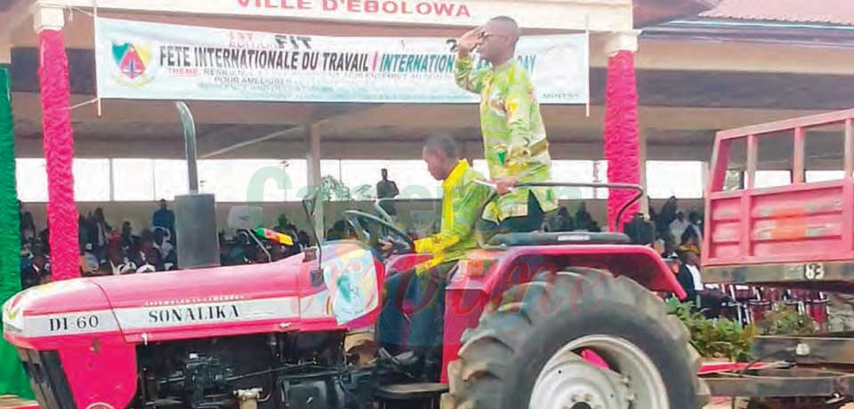 Ebolowa : reconnaissance et détermination Ebolowa : reconnaissance et détermination