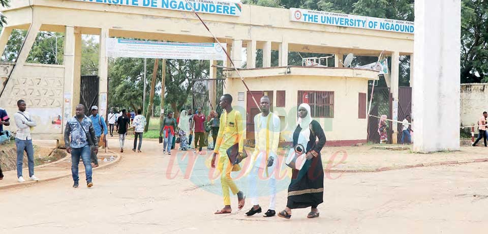 Université de Ngaoundéré : les « cop’s » traînent le pas Université de Ngaoundéré : les « cop’s » traînent le pas