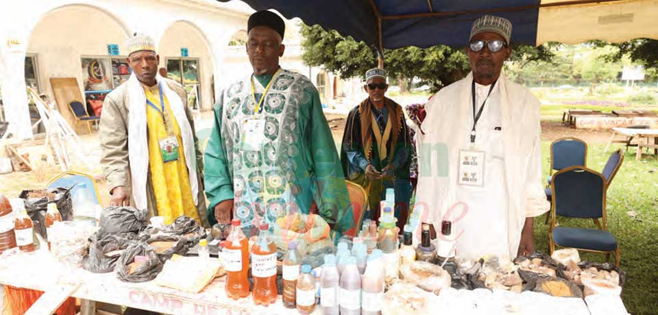 Pharmacopée africaine : la médecine autrement