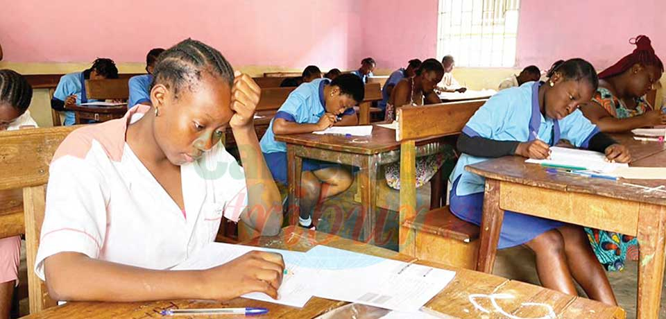 Brevets professionnels : 241 candidats en lice Brevets professionnels : 241 candidats en lice