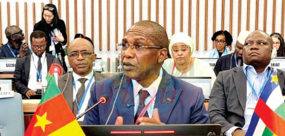 Industrie pharmaceutique locale: Le Cameroun partage son expérience