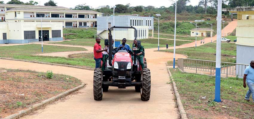 Yabassi Technical and Professional Agricultural High school: Enabling Environment Producing Results Yabassi Technical and Professional Agricultural High school: Enabling Environment Producing Results