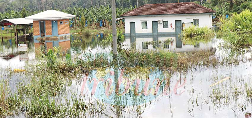 Océan  : le Nyong inonde trois villages