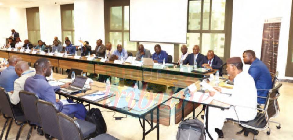 Filière bois en Afrique centrale: Cap sur l’industrialisation