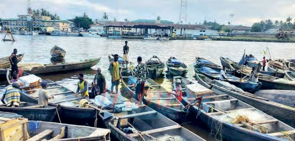 Lutte contre la pêche illicite : le Cameroun tend ses filets