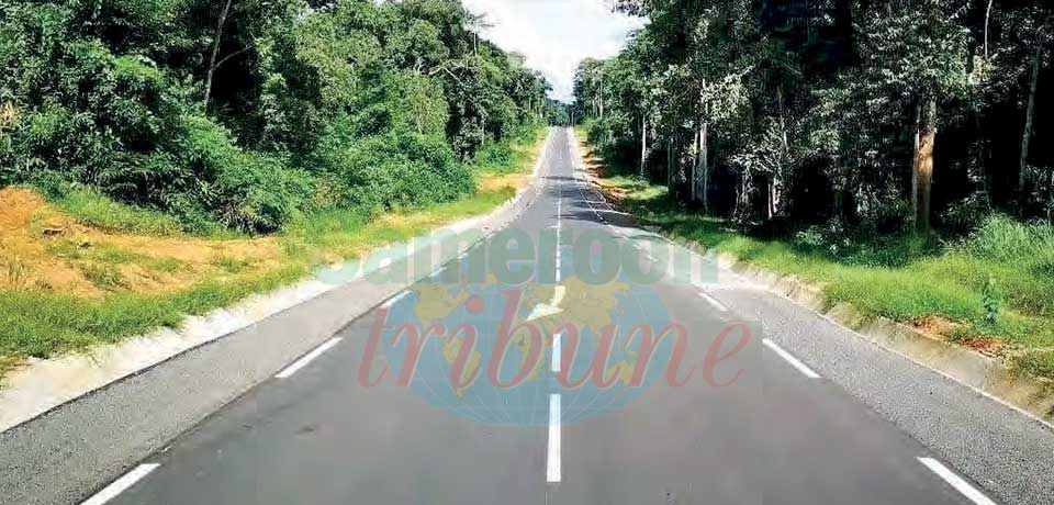 Réformes économiques en zone Cemac: Un changement de vitesse s’impose