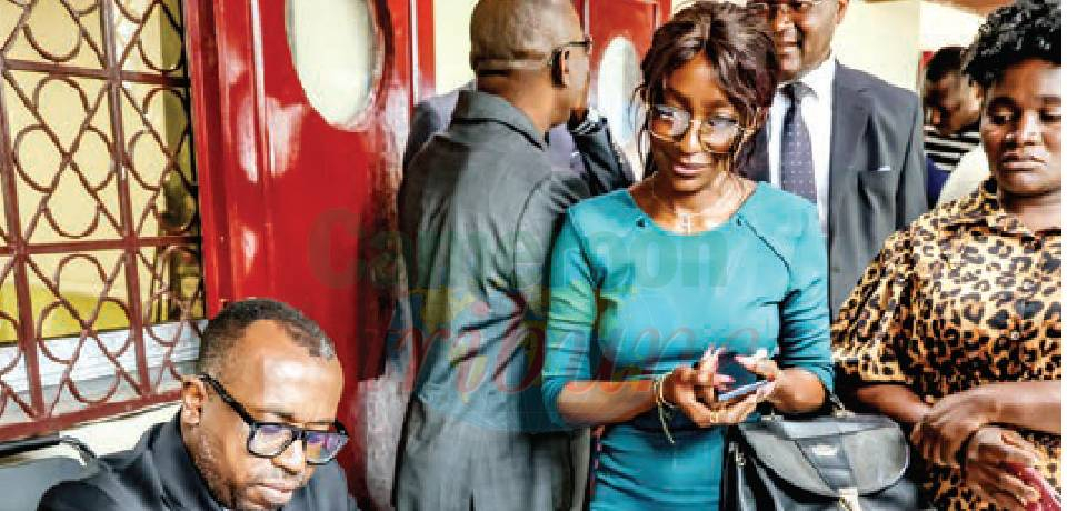 Développement économique et social du Cameroun: Les pages du progrès