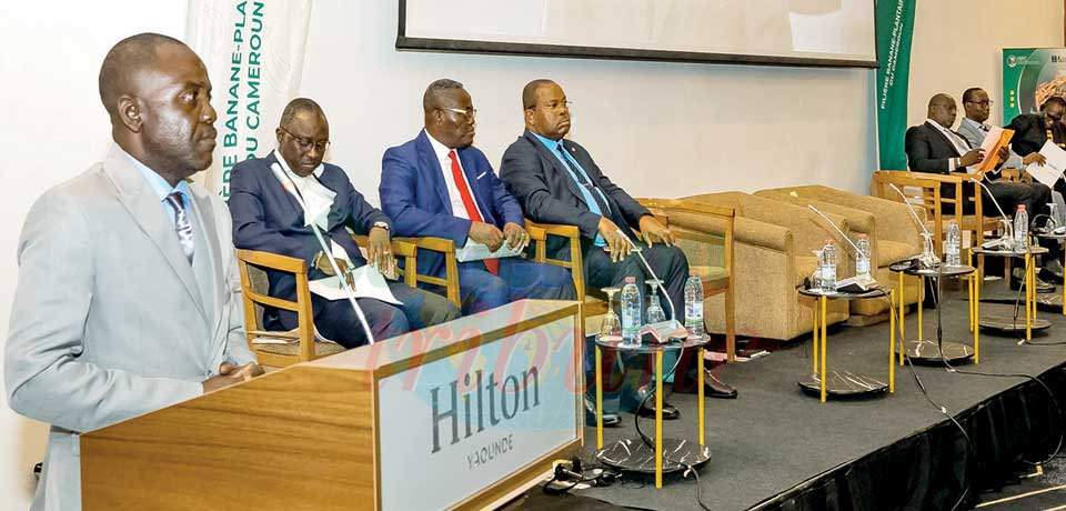 African Journalists Share Experiences African Journalists Share Experiences
