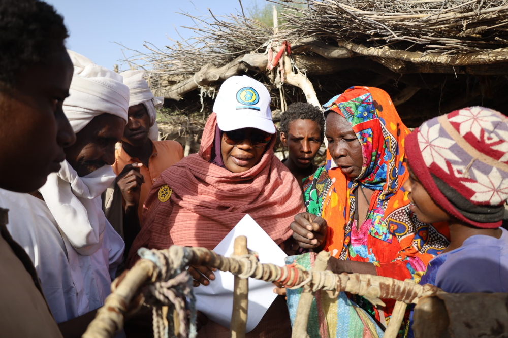 Présidentielle au Tchad : le dernier virage