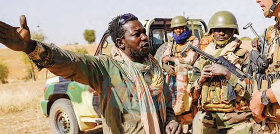 Only a strong synergy can triumph terrorism in Sahel.