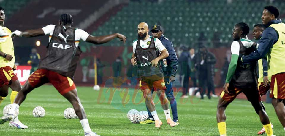 Tanière : pas de repos pour les braves