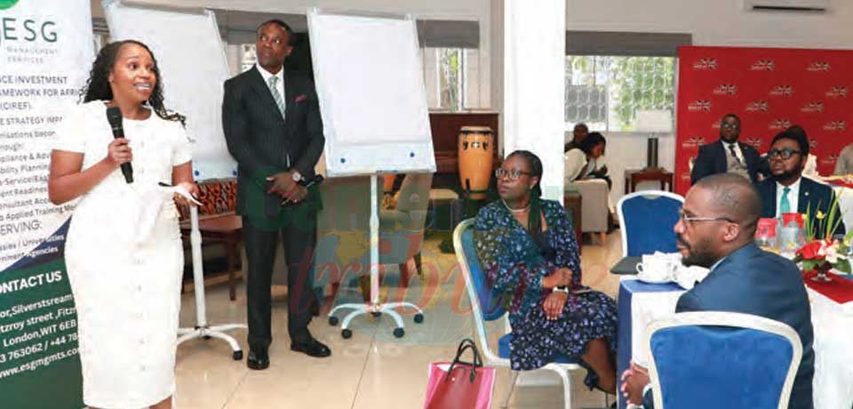 UK-Cameroon: Investment Framework Created