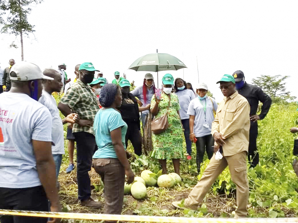 Coopératives productrices de manioc : on veut accroître les capacités de transformation