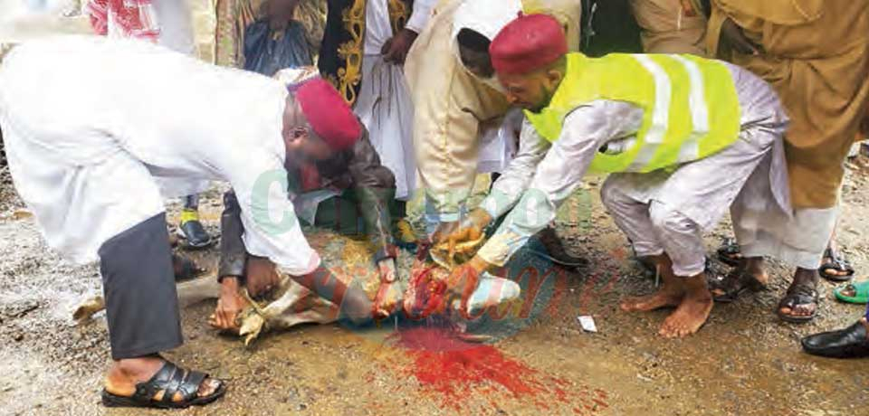 Buea : Endurance Prescribe To Moslem Faithfuls Buea : Endurance Prescribe To Moslem Faithfuls