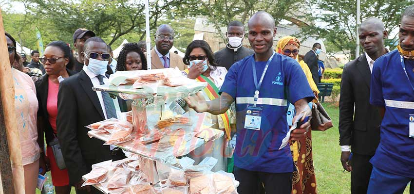 Fight Against Unemployment : Youths Orientated, Trained For Future Careers Fight Against Unemployment : Youths Orientated, Trained For Future Careers
