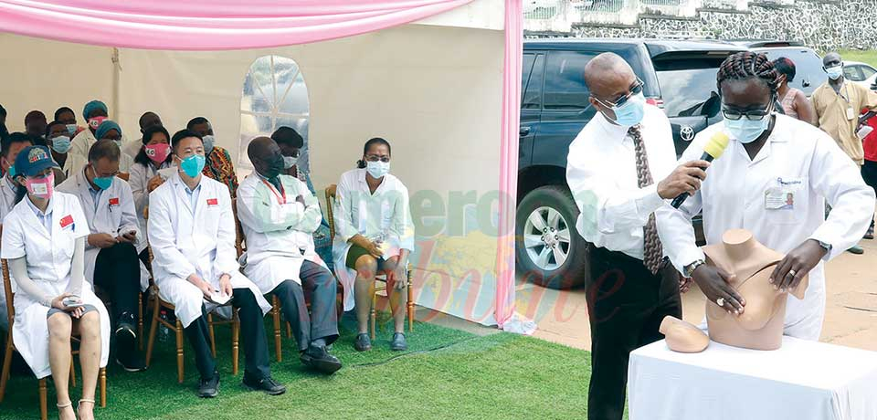Cancers : plus de 20 700 cas enregistrés au Cameroun Cancers : plus de 20 700 cas enregistrés au Cameroun