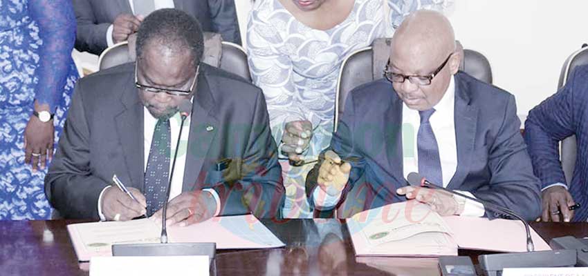 Marché financier et bourse de la CEMAC: la fusion en bonne voie Marché financier et bourse de la CEMAC: la fusion en bonne voie