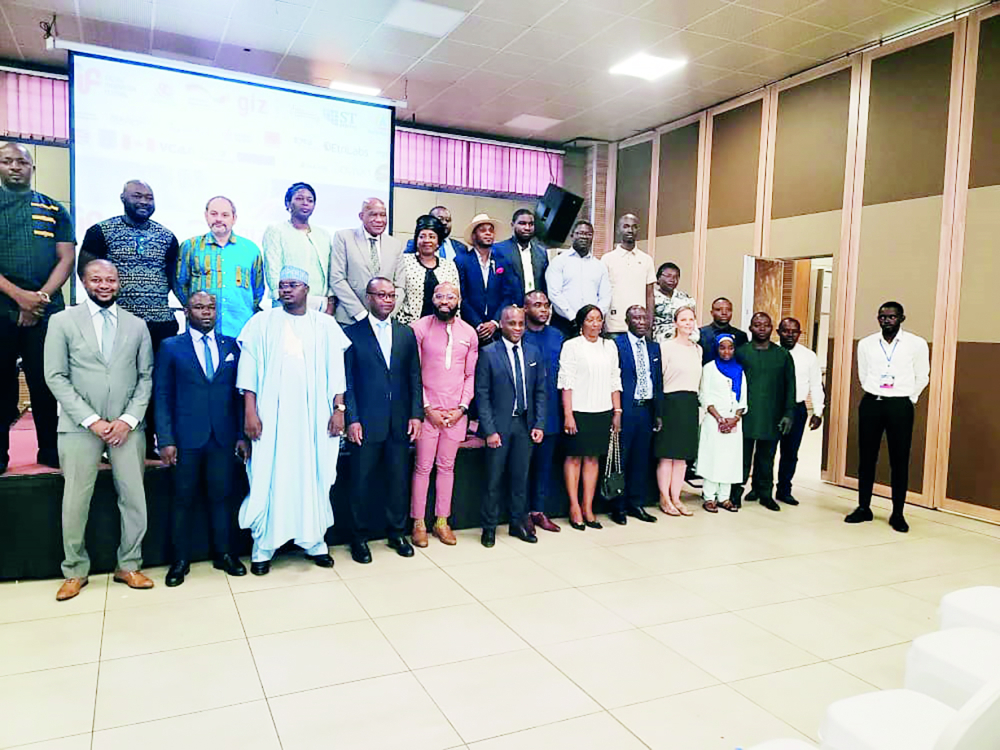 Digital Innovation : Stakeholders Examine Opportunities