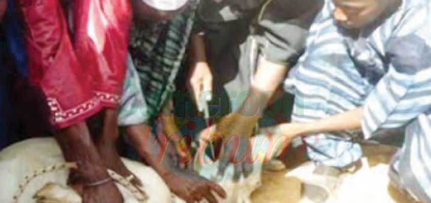 Garoua : dans le respect des mesures-barrières Garoua : dans le respect des mesures-barrières