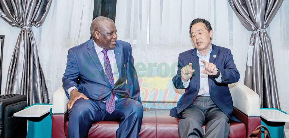 Cameroun – FAO : les nouveaux sillons de la coopération Cameroun – FAO : les nouveaux sillons de la coopération