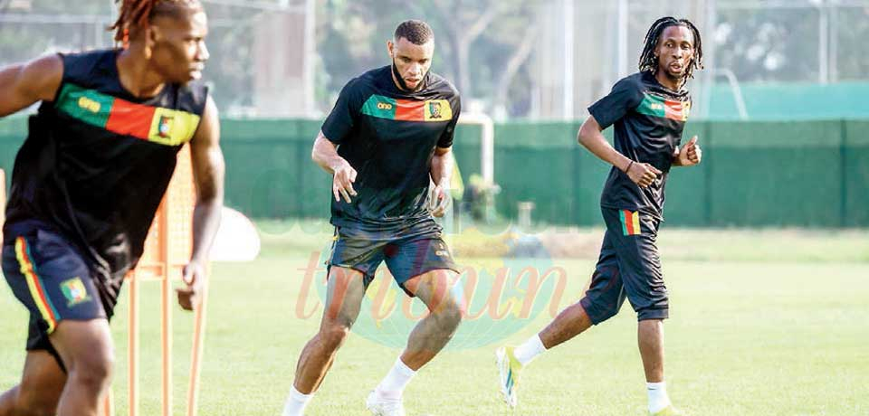 Indomitable Lions : Intense Focus As Senegal Clash Approaches