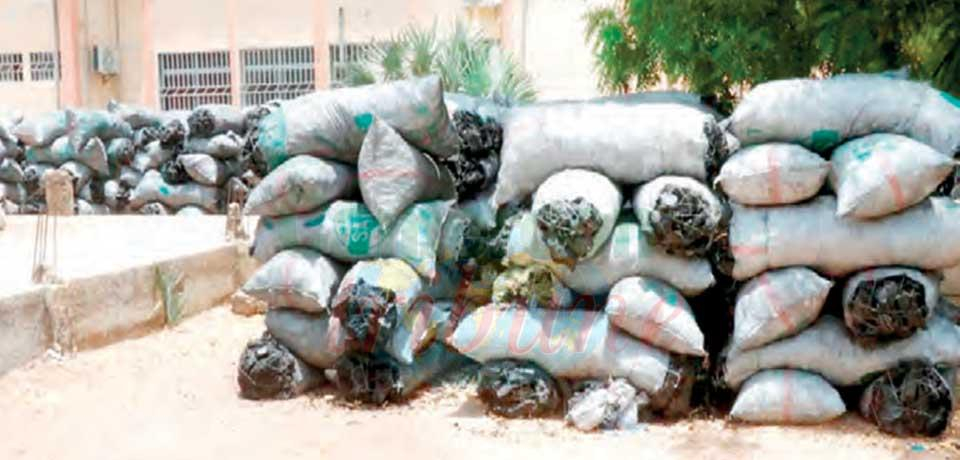 Extrême-Nord : près de 400 sacs de charbon saisis Extrême-Nord : près de 400 sacs de charbon saisis
