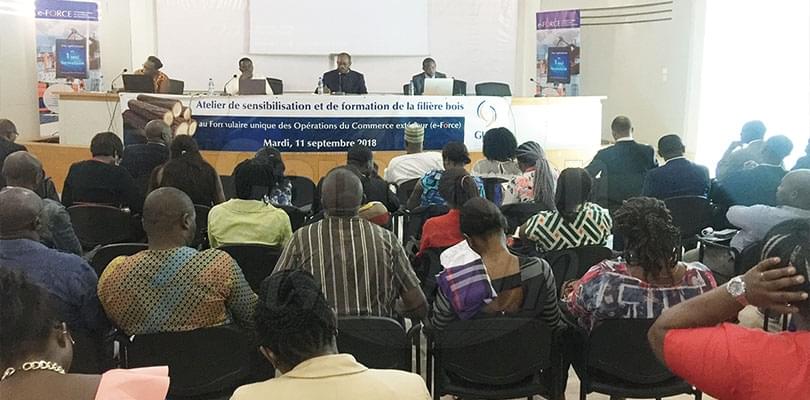 Exportation de bois: on parle allègement des procédures