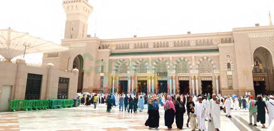Hadj 2025 : les premiers jours en prières et recueillement