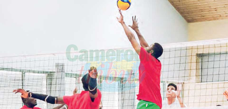 Men’s African Nations Volleyball Championship : Cameroon Makes Final Touches