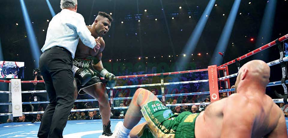 Boxe : Ngannou, à qui perd gagne