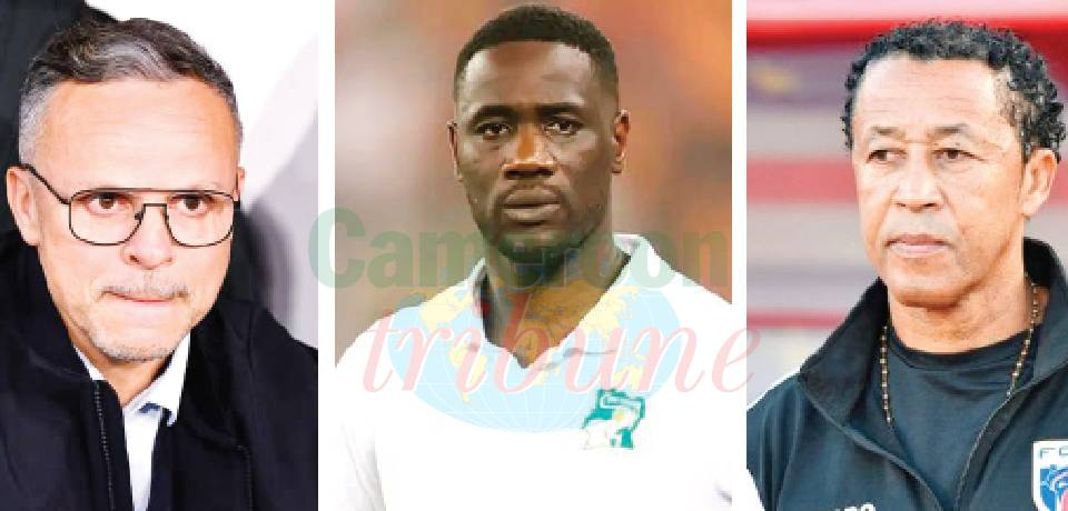 Coachs africains: Sans complexe