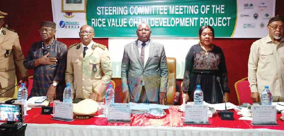 Boosting Rice Production: Prioritising Increase Irrigated Land