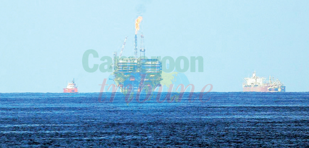 Egypte: Un gisement de gaz naturel découvert