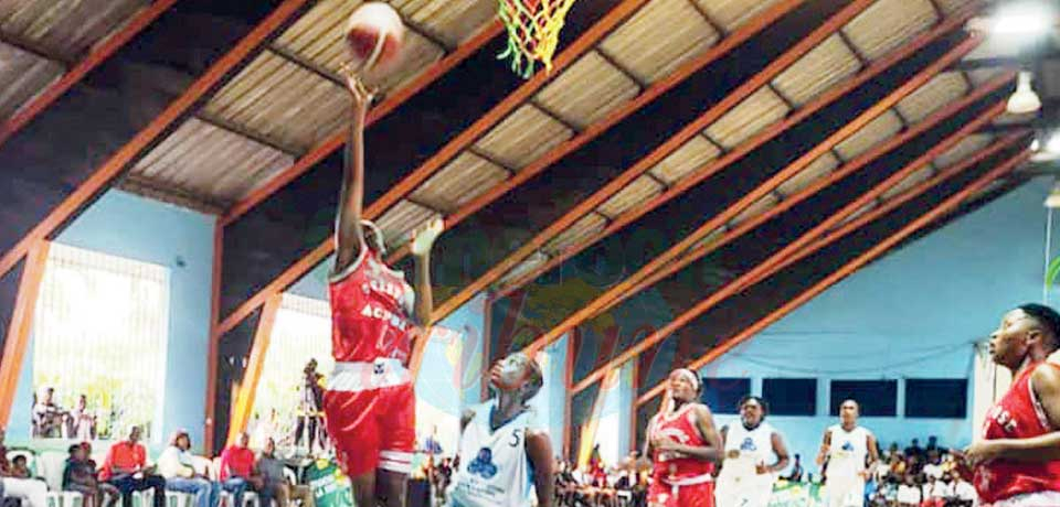 Fédération camerounaise de basketball : la saison 2023 est ouverte