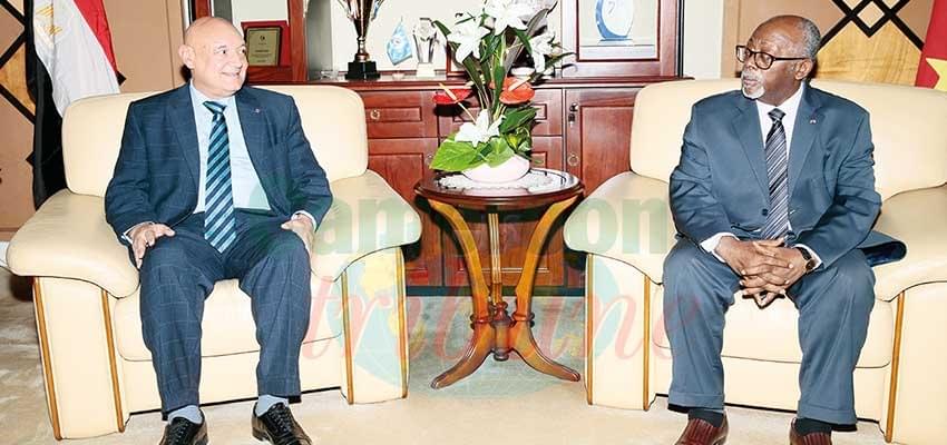 Cameroon-Egypt Relations : Parties Exchange Diplomatic Views