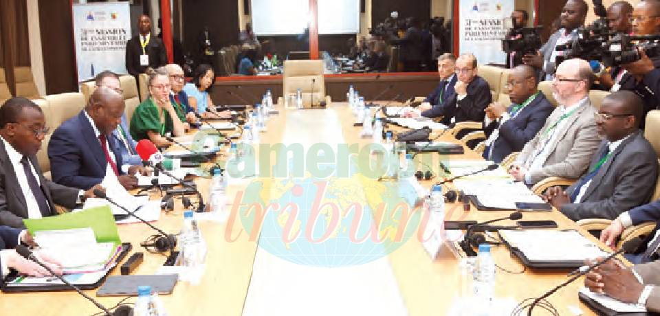 51e session de l’Assemblée parlementaire de la Francophonie: Un brainstorming en attendant