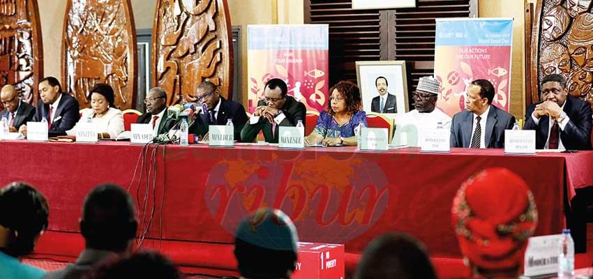 Le Cameroun érige un bouclier contre la faim.