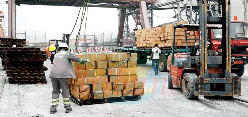 Douala Wharf Surmounting The Challenge !