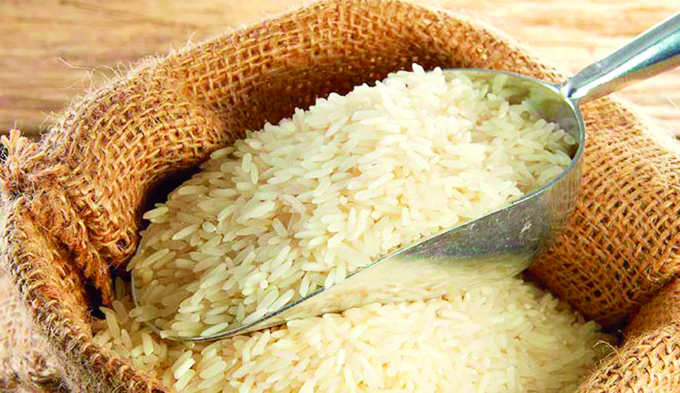 La production du riz envisagée avec plus d’optimisme.