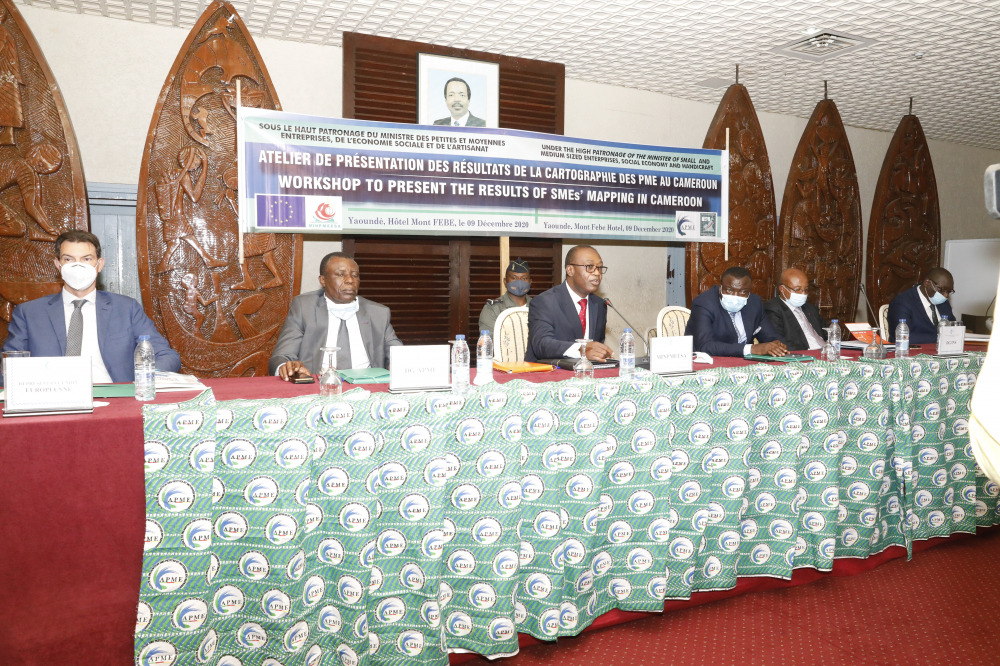 The survey on SMEs in Cameroon undertaken by the National Institute of Statistics was released in Yaounde on December 9, 2020.