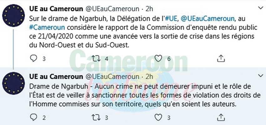 Dénouement des événements tragiques de Ngarbuh : la délégation de l’UE et l’ambassade des Etats Unis satisfaits